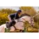 Equitheme Bridon K-Kontour