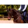 Equitheme Rênes Rubber K-Soft