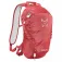 Altus Cirque 10L L30 backpack