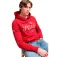 Superdry Vintage Script Hettegenser