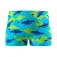 Speedo Print Aqua uimashortsit
