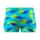 Speedo Print Aqua uimashortsit