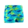 Speedo Print Aqua uimashortsit