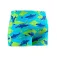 Speedo Print Aqua uimashortsit