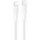 Belkin Câble d´alimentation USB-C CAB025