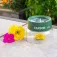 Carson Visor de vidre BugLoupe HU-55