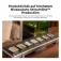 Xtool Auto Streamline Conveyor Laserkaiverrin