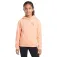 Under armour Sudadera con capucha Graphic