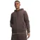 Under armour Icon Fleece kapuzenpullover