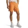 Under armour Calções Launch 7´´