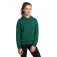 Under armour Sweat à capuche Rival Fleece