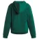 Under armour Rival Fleece kapuzenpullover