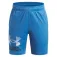 Under armour Short Tech Logo