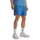 Under armour Short Tech Woven Wordmark