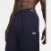Under armour Vanish Training 바지