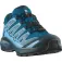 Salomon XA Pro WP trailskor