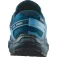 Salomon XA Pro WP trailskor