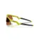 Oakley Resistor sweep aurinkolasit