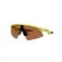 Oakley Resistor sweep solbriller