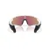 Oakley Stunt devil a solbriller