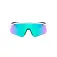 Oakley Óculos de sol Stunt devil a