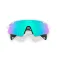 Oakley Óculos de sol Stunt devil a