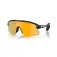 Oakley Stunt devil s solbriller