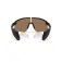 Oakley Stunt devil s solbriller