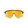 Oakley Stunt devil s solbriller