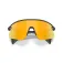 Oakley Stunt devil s aurinkolasit