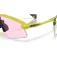 Oakley Gafas de sol Stunt devil