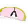 Oakley Gafas de sol Stunt devil