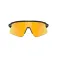 Oakley Stunt devil aurinkolasit