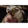 Force Trail MTB-Helm