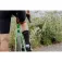 Force Verdone socken