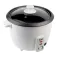 Edm Ris kokare 1L 400W