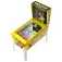 Ambassador Borne d´arcade Pac Man