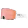 Giro Axis Stacked ski goggles