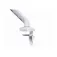 Digitus Support d´écran 35´´