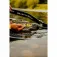 Zfish Sacadera DLX