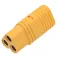 Amass AM-MT60-P Adapter