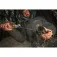 GoPro MISSION 1 PRO action camera