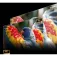 Hisense Projector C3