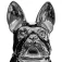 Five Bulldog statue