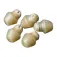 Matrix fishing Perles Hook Length 5 unitats