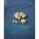 Matrix fishing Perles Hook Length 5 unitats