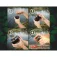 Zfish Splitter boilies knuser