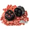 Zfish Splitter boilies knuser