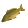 Ngt Almofada Plush Carp 70 cm