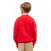 Tommy hilfiger Peanuts pullover